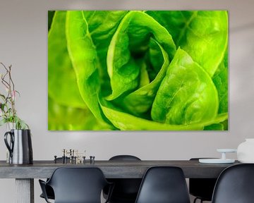 Salat in einem Bio-Gemüsegarten im Sommer. von Sjoerd van der Wal Fotografie