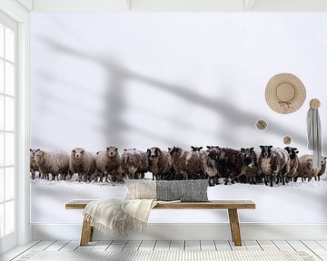 Schafe auf einer schneebedeckten Wiese in einer Winterlandschaft von Sjoerd van der Wal Fotografie