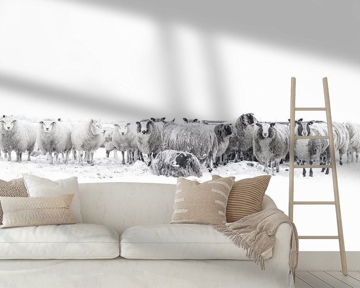 Raumvorschau