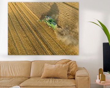 Combine harverster harvesting wheat during summer