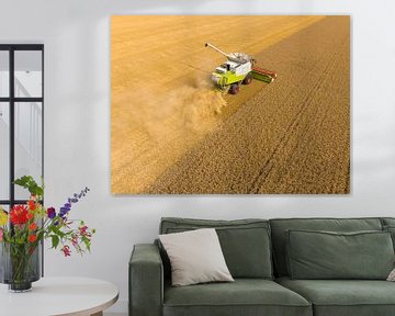 Combine harverster harvesting wheat during summer