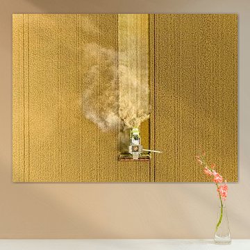 Moissonneuse-batteuse récoltant du blé en été