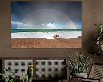 Rainbow and the ocean by Olha Rohulya