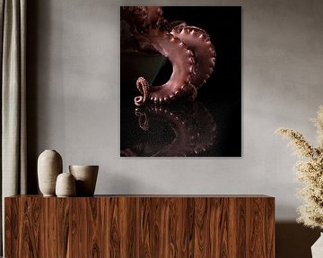 Octopus van Alex Neumayer