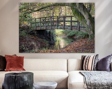 Pont en bois dans une forêt d'automne aux Pays-Bas sur Tonko Oosterink