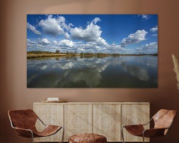 National Park The Biesbosch