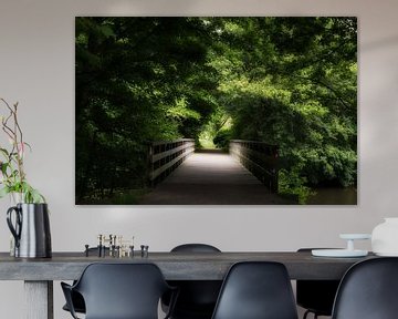 Houten brugje in het bos.