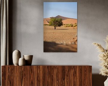 Arbre solitaire dans le désert de Namibie | Sosusvlei sur Tine Depré