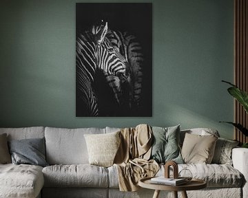 Africa Black: Zebra