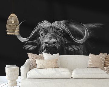 Africa Black: Buffalo von Jack Soffers
