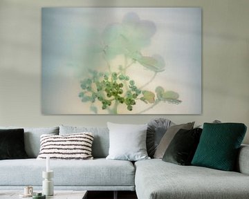 Hydrangea Pastel Shades | Rose Mint | Fine Art sur Nanda Bussers