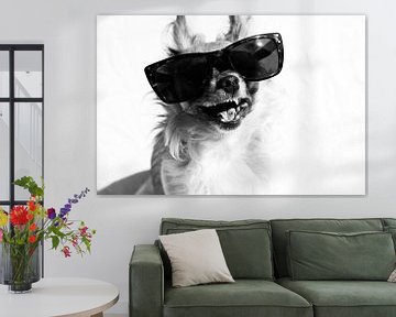 lachende hond met zonnebril