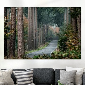 La route principale vers la forêt de contes de fées