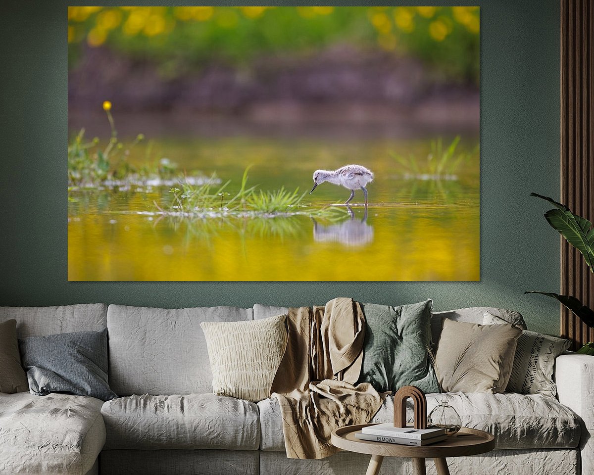 Voorbeeld van het werk in een kamer