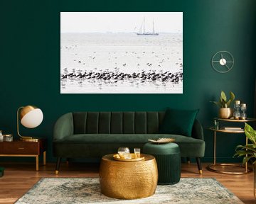 Resting birds and sailing ship on the mud flats by Anja Brouwer Fotografie