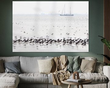 Rustende vogels en zeilschip op het wad van Anja Brouwer Fotografie