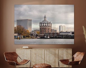 Watertoren de Esch en Erasmus universiteit in Rotterdam. van Janny Beimers