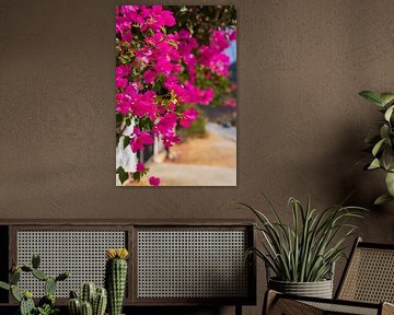 Bougainville von Camilla Ottens