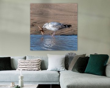 Zeemeeuw op het strand met zeesterren van Derlach Photography