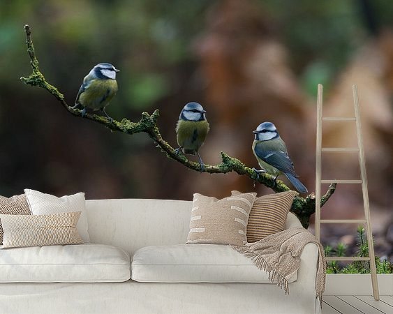 Aperçu de la chambre