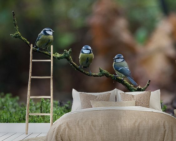 Aperçu de la chambre