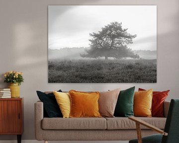 Baum im Nebel. von delkimdave Van Haren