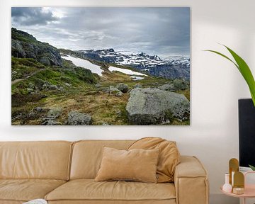 Bergepass in Ringedalsvatnet - Norwegen von Ricardo Bouman