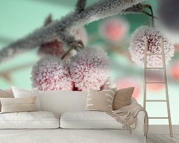 Ornamental apples with ripe by Anjo Kan