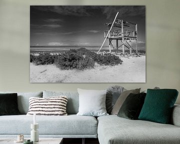 Plage sur l'île de Bonair, dans les Caraïbes. Image en noir et blanc. sur Manfred Voss, Schwarz-weiss Fotografie