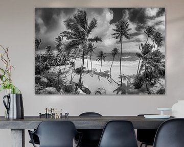 Strand met palmbomen op Barbados in het Caribisch gebied. Zwart-wit beeld. van Manfred Voss, Schwarz-weiss Fotografie