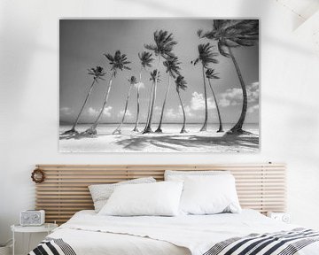 Palm tree beach in Dominican Republic. Black and white image. by Manfred Voss, Schwarz-weiss Fotografie