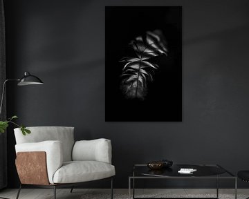 Veer, abstract, zwart wit, natuurfotografie van Heidi van Boxtel
