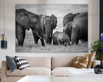 Elefanten, Masai Mara Kenia von Marco Verstraaten