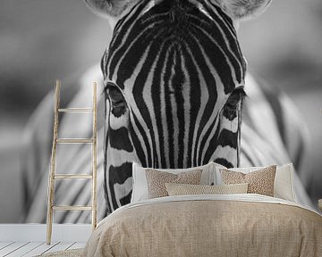 Zebra, Namibia, africa by Marco Verstraaten