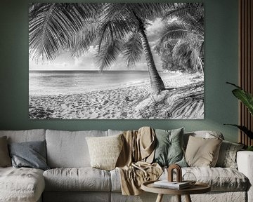 Strand und Palmen auf der Insel Barbados.  Schwarzweiss Bild. von Manfred Voss, Schwarz-weiss Fotografie