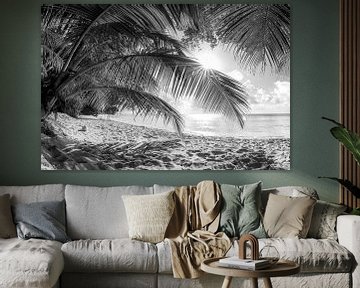 Strand met palmbomen in Barbados. Zwart-wit beeld. van Manfred Voss, Schwarz-weiss Fotografie