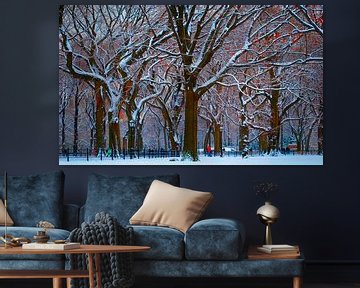 New York's Central Park na een flinke sneeuwbui van Koen Hoekemeijer