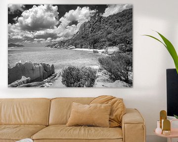 Landschap met strand op de Seychellen. Zwart-wit beeld. van Manfred Voss, Schwarz-weiss Fotografie