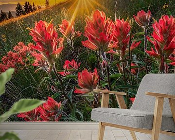 Zomer Wilde Bloemen Zonsondergang Foto