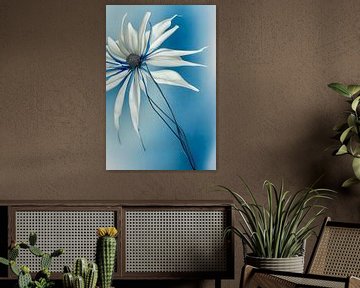 Blauw XIX - witte bloem van Lily van Riemsdijk - Art Prints met Kleur