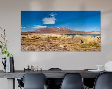 Andesgras in de hoge steppe voor het meer en de vulkanen van Alex Neumayer