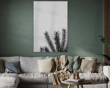 Naaldboom den tak met lucht zwart wit | Natuurfotografie, abstract van Merlijn Arina Photography