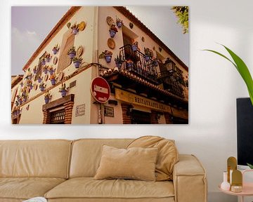 Typical blue flower pots on the wall in Granada by Travel.san