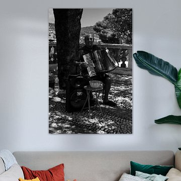 Un homme jouant de l'accordéon | Nice | France Travel Photography