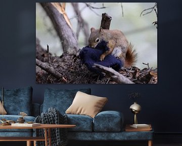 Squirrel with glove