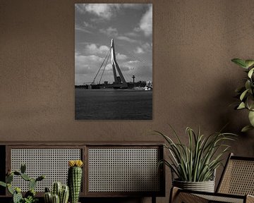 De Erasmusbrug van ver weg | Rotterdam | Nederland Reisfotografie van Dohi Media