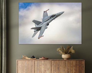 F/A-18 Finnish Hornet Solo Display Team. van Jaap van den Berg