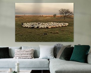 Shepherd in the national Park "Dwingelderveld" by George van der Vliet