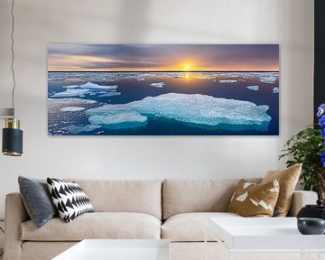 Panorama ijsschotsen in het noordpoolgebied Illustratie van Animaflora PicsStock