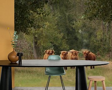 Schottische Highlander von Frank Smedts